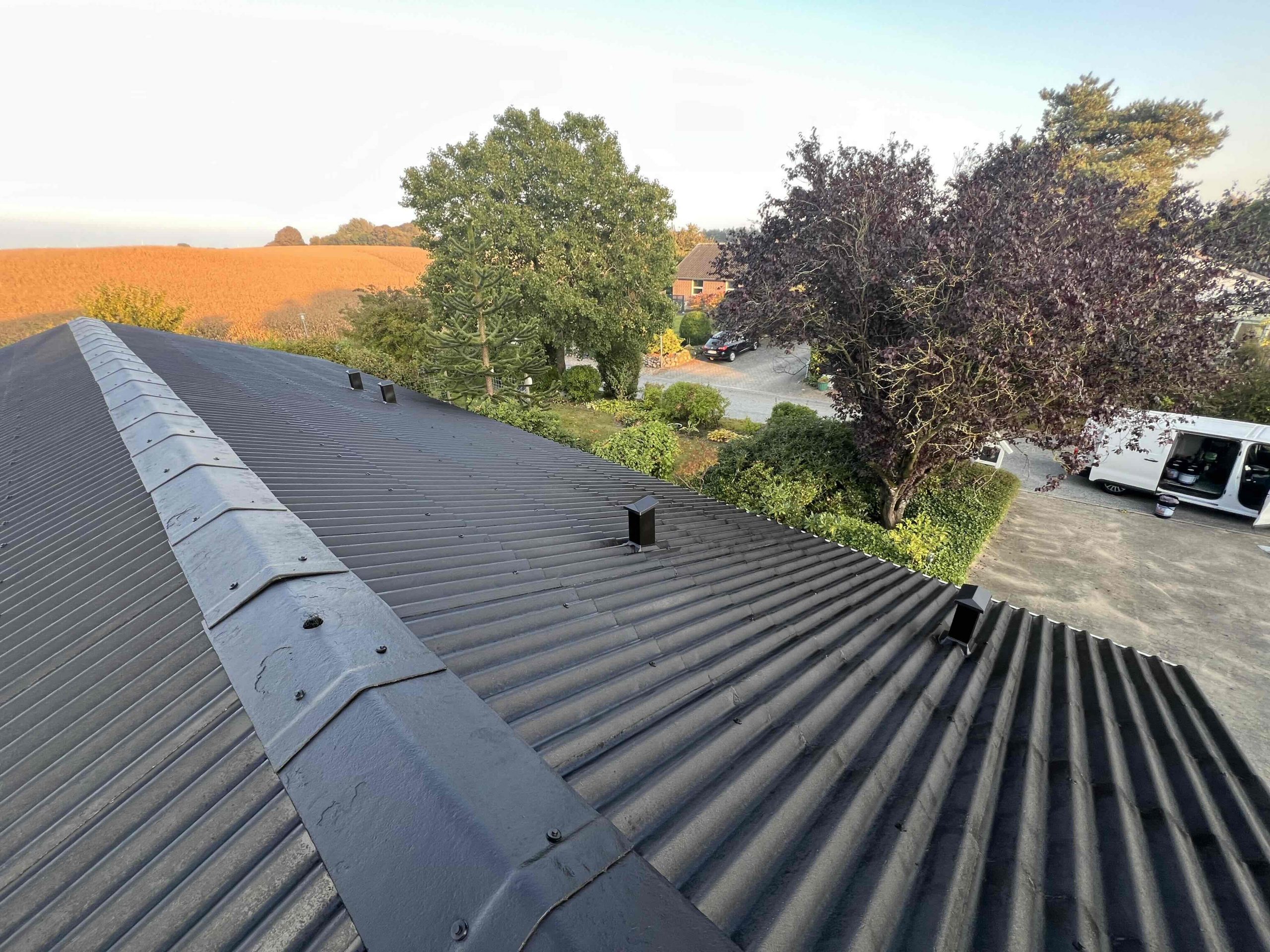 Malet tagplader i Jylland